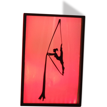 Silk Artist Silhouette Panel