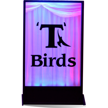 T-Birds Silhouette Panel