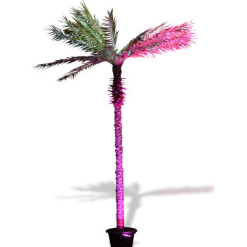 Palm Tree 6ft