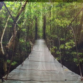 Jungle #2 Backdrop 3m x 3m