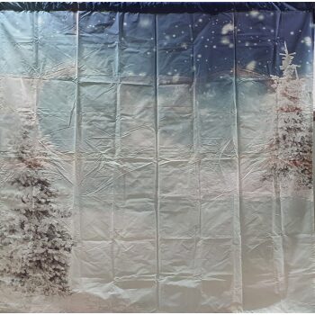 Snow Scene Backdrop 3m x 3m