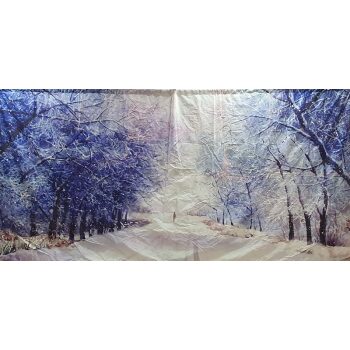 Thick Snow Backdrop 6m x 3m
