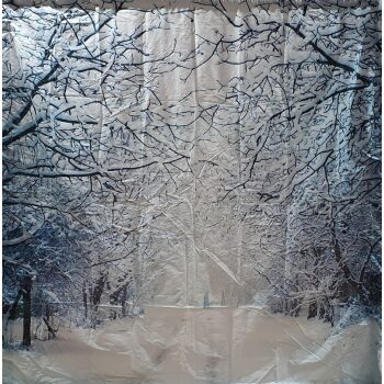 Winter Wonderland #1 Backdrop 3m x 3m