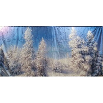 Winter Wonderland #2 Backdrop 6m x 3m