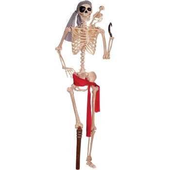 Pirate Skeleton (5ft)